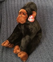 Ty Beanie Buddy Congo the Gorilla 1999 Ape Monkey Plush Stuffed Animal M... - £12.57 GBP