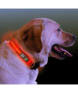 NiteDawg LED Light Up Dog Collar Orange Flexible Small 10&quot; to 13&quot; - £11.79 GBP