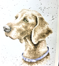 Weimaraner Dog  Print of Watercolor by Hannah Dale Matted 8 x 10 Inch - £11.86 GBP