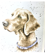 Weimaraner Dog  Print of Watercolor by Hannah Dale Matted 8 x 10 Inch - £11.73 GBP
