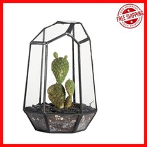 Versatile 4.1&quot; x 3.5&quot; Black Glass Terrarium - Ideal for Air Plants &amp; Can... - $758.68 MXN