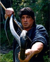 Sylvester Stallone tackles huge snake in 2008 Rambo 8x10 inch photo - £7.87 GBP