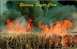 Vintage Burning Sugar Cane Southern End Lake Okeechobee Florida Postcard (D1) - £3.88 GBP
