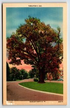 Tarleton&#39;s Oak Tree Charlottesville Virginia Postcard Linen VA Unposted ... - £5.69 GBP