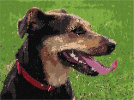 Pepita Needlepoint kit: Dog Tongue Out, 12&quot; x 9&quot; - $86.00+
