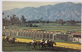 Santa Anita Park Arcadia, California Photographic Vintage Post Card - £3.08 GBP