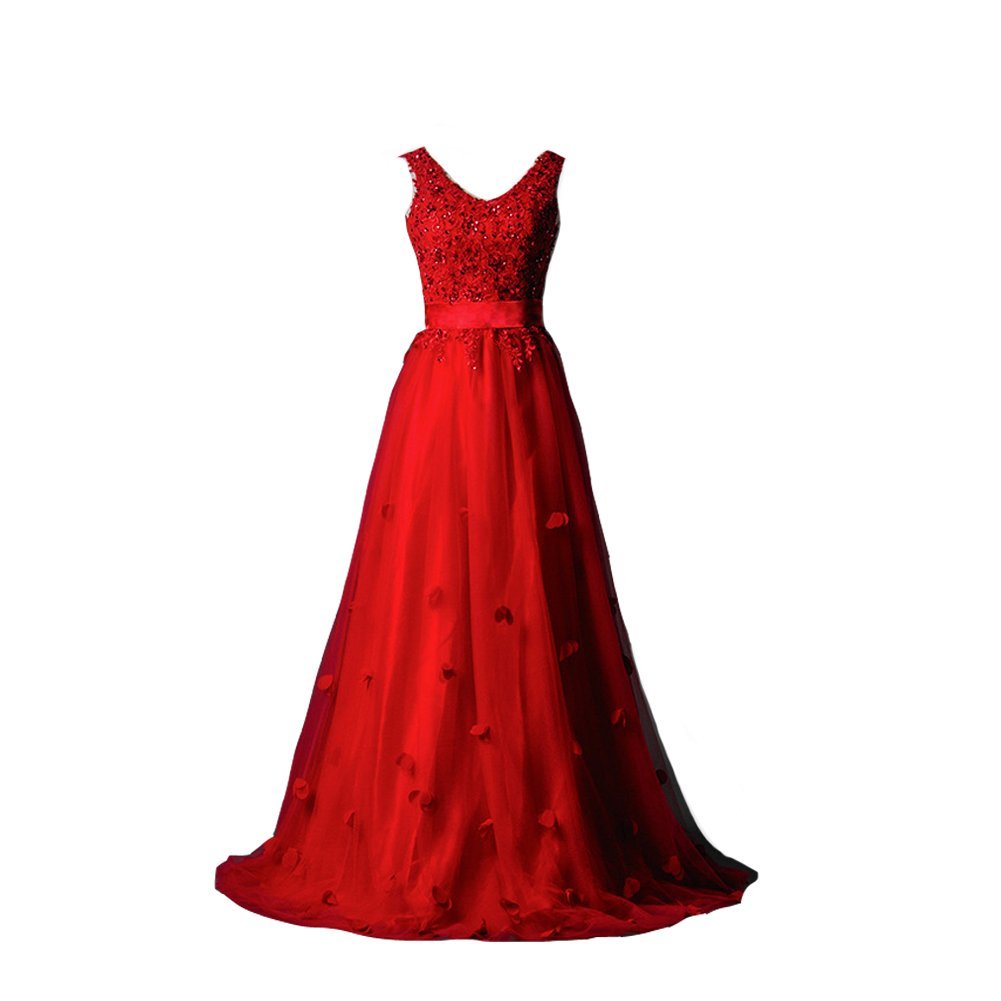 Kivary? V Neck Floral Lace Appliques Tulle Long Prom Evening Dresses with Sash R