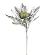 Set of 2 Realistic Artificial Botanica Long White Grey Flower Floral Stems - $727.72 MXN