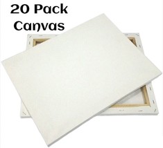 20 Pack Artist Canvases 16x20&quot; Pre-Stretched Cotton Duck Double Acrylic ... - $87.99