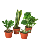 Easy Care Variety Bundle-6&quot; - $2,524.54 MXN