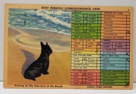 Busy Persons Correspondence Card Terrier Dog Waiting on Beach OC NJ Postcard A7 - £3.90 GBP