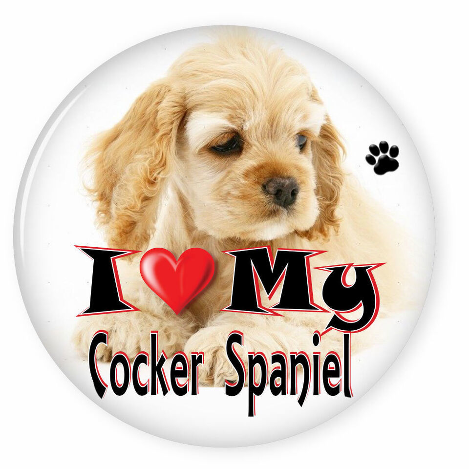 I LOVE MY COCKER SPANIEL DOG PUPPY 3&quot; SAFETY PIN BACK BUTTON - $6.29