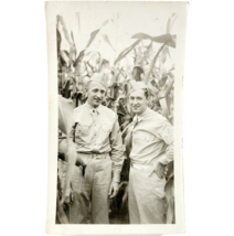 1942 WW2 Real Photograph Unknown Military Soldiers Corn Field Army F10A - €21,47 EUR