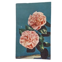 Postcard A Camellia For You Pink Flower Chrome Unposted - $6.92