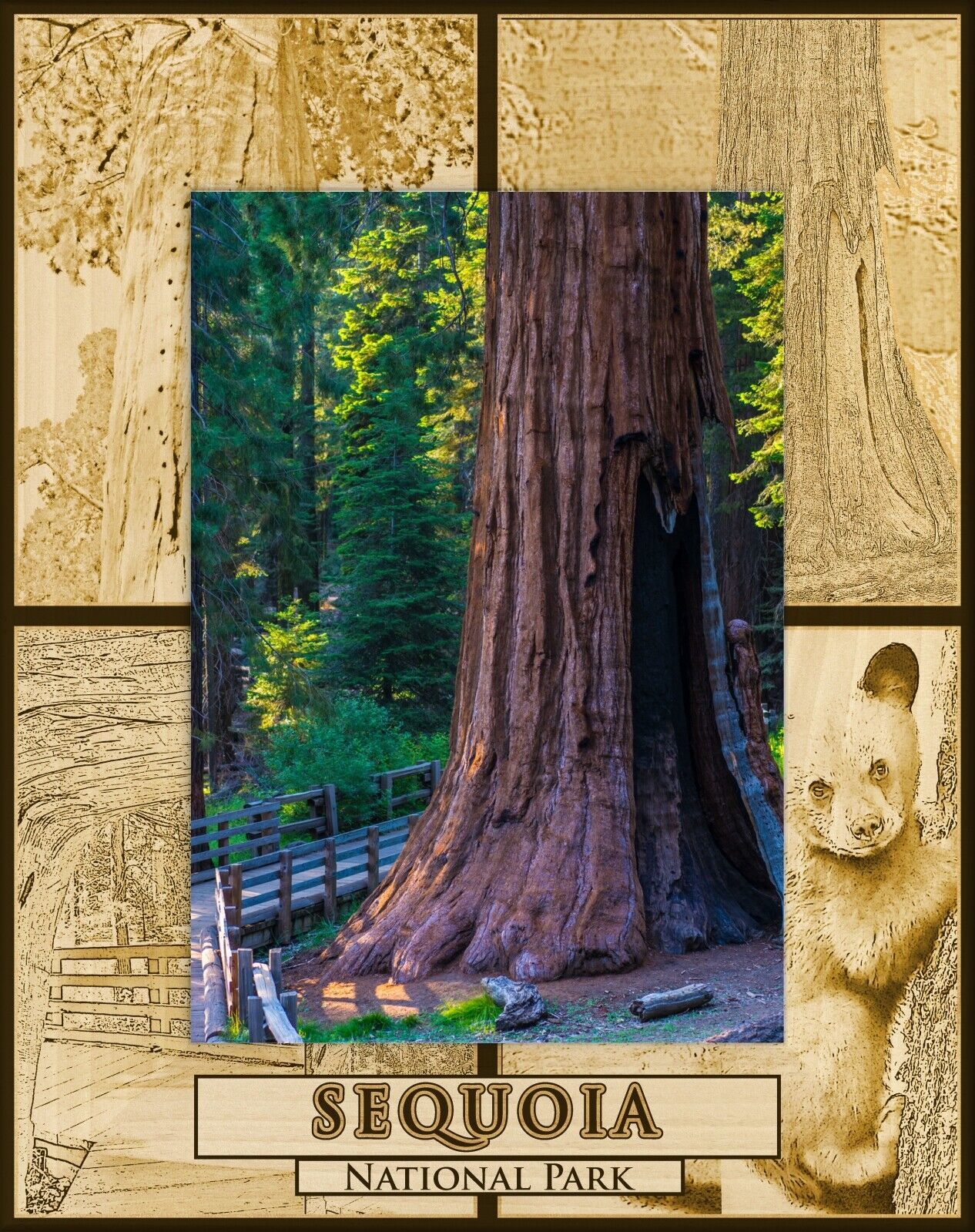 Primary image for Sequoia National Park Laser Engraved Wood Picture Frame Portrait (3 x 5) 