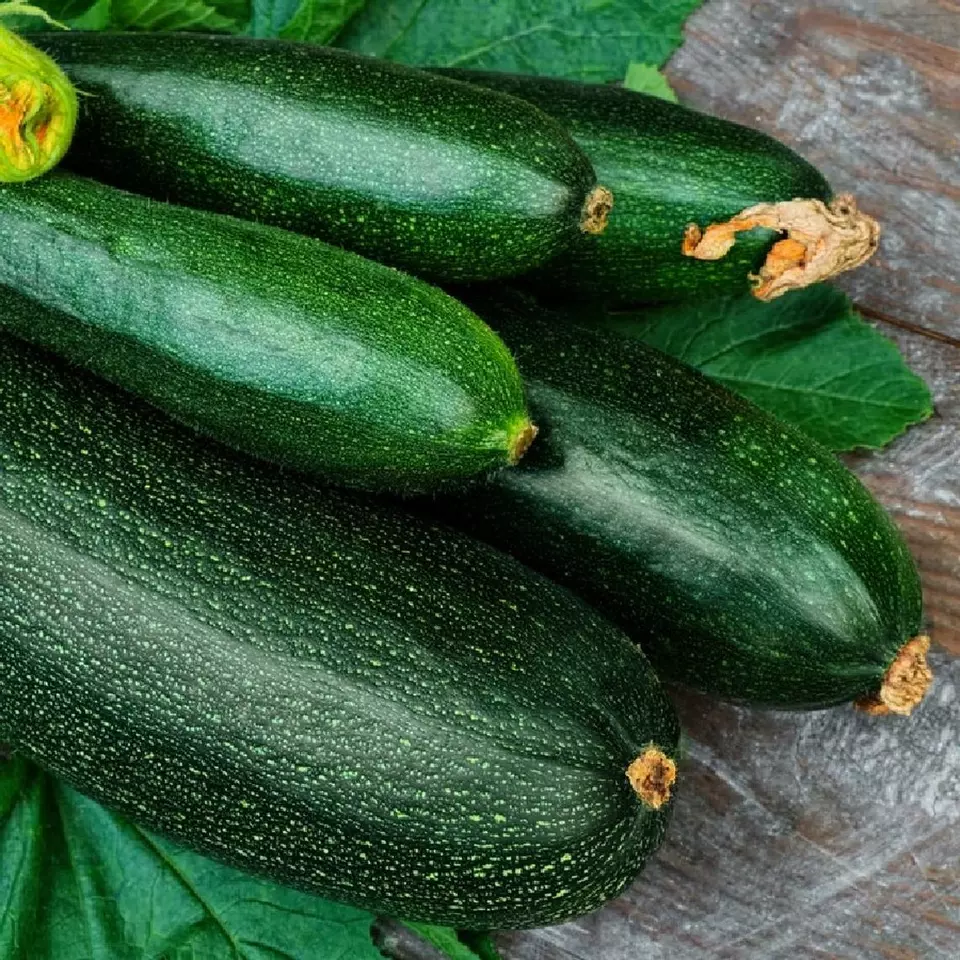 Best Dark Green Zucchini Summer Squash 25 Seeds, NON-GMO - £2.24 GBP