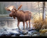 24.5&quot; X 44&quot; Panel Moose Northwoods Animal Morning Glory Cotton Fabric D4... - $8.82