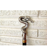Cane Rattlesnake Coiled and Ready To Strike Tongue Extended Seeking Prey... - $38.61
