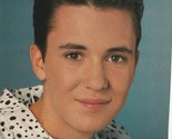 Wil Wheaton teen magazine magazine pinup clipping Danny Wood Big Bopper ... - $7.00