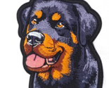 Friendly Rottweiler Iron On Embroidered Patch 3 1/2&quot;x 4&quot; Great Detail! - $5.99