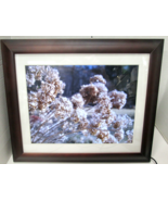 Excellent ViewSonic 15&quot; Digital Picture Frame, VFM1536-11 - $1,798.01 MXN