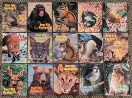 Vintage Lot Of 15 Your Big Backyard Magazines National Wildlife Fed 1981-1984 - £22.05 GBP