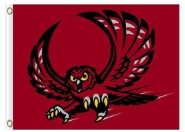 Temple Owls Club Sport Flag 3X5ft Banner USA Polyester with 2 Brass Grom... - $15.99