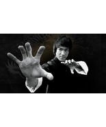 Bruce Lee Poster 24x36 inch rolled wall poster - $14.85