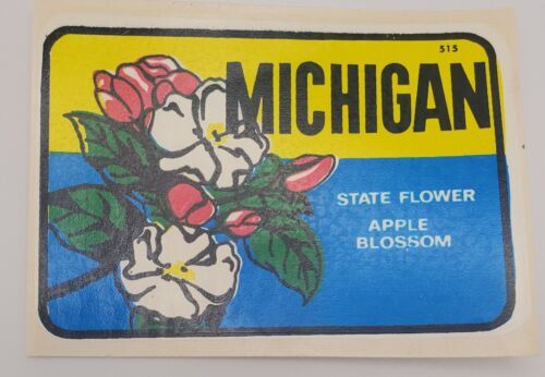 Michigan State Flower Apple Blossom Vintage Original Travel Water Transf... - $16.63