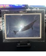 Morgan Hoesterey Dolphin Sun Rays Photograph 5x7- Double Matte Frame - €21,25 EUR