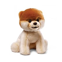 Boo: The World&#39;s Cutest Dog  - $71.00