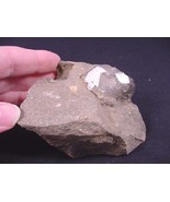 R408-M) 11 oz natural white Herkimer diamonds quartz crystals matrix NY ... - £50.00 GBP