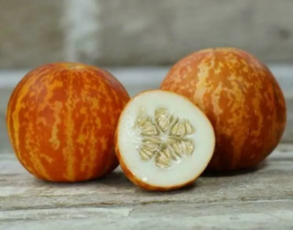 10 Organic Tigger Melon Seeds Sweet, Juicy, Grown In Usa Fresh Garden - £8.23 GBP