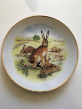 Collector Plate - Wildlife Of Britain - Hares By Susan Beresford - £3.47 GBP