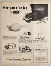 1948 Print Ad National Association Manufacturers What Part of an Egg is Profit - £13.88 GBP