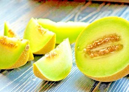 100 HONEYDEW SEEDS SUPER SWEET MELON FRUIT NON-GMO - $141.36 MXN