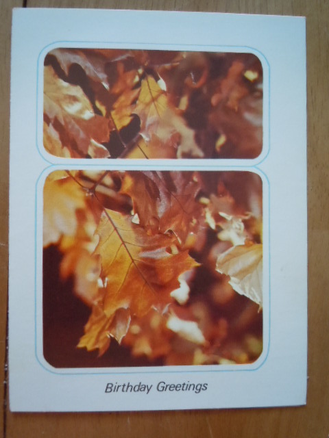 Vintage A Sunshine Card Birthday Greetings Unused - $2.99