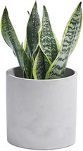 Tagobar Plant Pots Planter Indoor - 5.5 Inch Modern Grey, Plant Not Included - £24.51 GBP