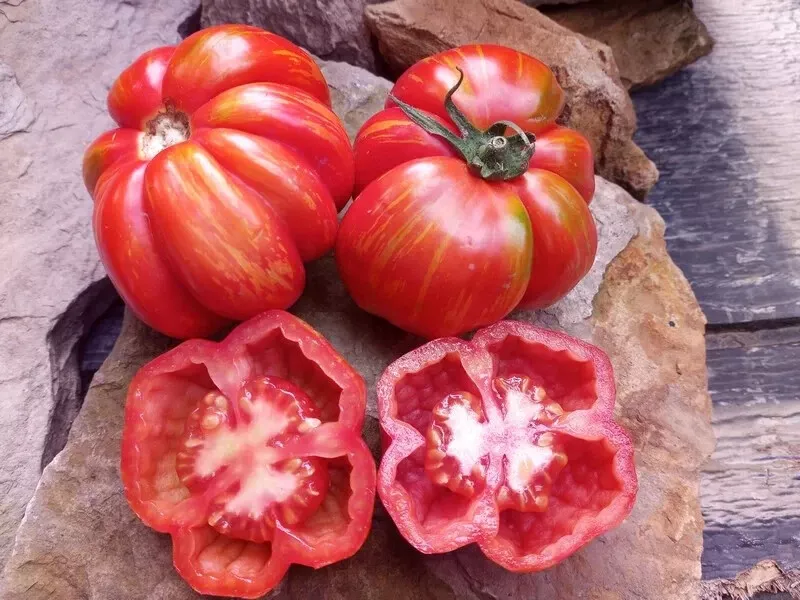 50 Seeds Schimmeig Striped Hollow Tomato Vegetable Garden - £7.79 GBP