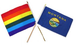 AES 12x18 12&quot;x18&quot; Wholesale Combo Rainbow Gay Pride &amp; State Montana Stick Flag - £8.72 GBP