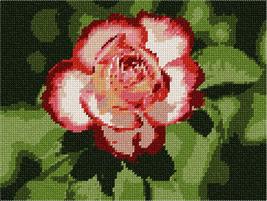 Pepita Needlepoint kit: Shoshana Rose, 9&quot; x 7&quot; - £39.54 GBP+