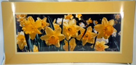 Large Format Photograph Signed Erskine Wood DAFFODILS Double Matted - $114.95