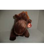 Ty Beanie Baby Chocolate Moose NWT - €21,30 EUR