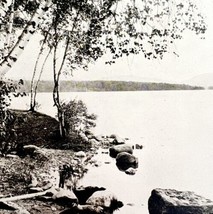 Mingo Point Rangeley Lake Maine 1924 Gravure Print Antique New England D... - $34.50