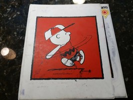 Vintage Charlie Brown Baseball 3 Ring Binder 1965 Peanuts Snoopy PREOWNED - $31.95