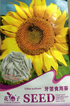 Heirloom Edible White Long Sunflower Seeds Original Pack 20 Seeds / Pack Tasty S - £5.47 GBP