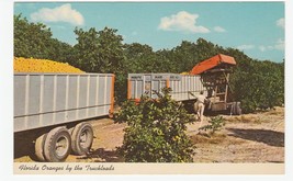 Vintage Postcard Florida Oranges by the Truckload 1960&#39;s Unused - £5.41 GBP