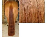 36&quot; - 1lb. 100% Genuine Horse Hair Medium Sorrel Show Tail Extension Fal... - £100.33 GBP