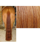 36" - 1lb. 100% Genuine Horse Hair Medium Sorrel Show Tail Extension False Tail - $124.92