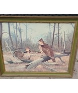 Vintage Sedgefield Quail Artwork AJ Rudisill Woods Landscape Framed  27x21  - $40.23 CAD